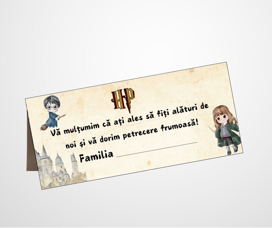 Plic de bani Model 66, 21×7-cm, Harry Potter