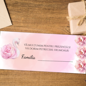 Plic de Bani, Model 61, 21x7