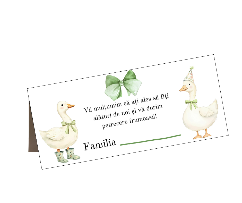 Plic de bani, Model 90, 21×7 cm